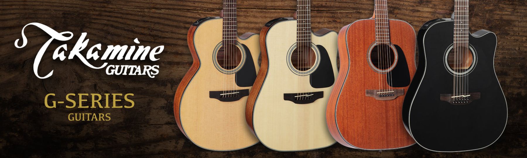 TAKAMINE G SERIES