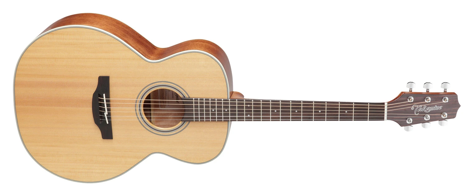 TAKAMINE GN20CE NS