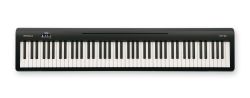 ROLAND FP-10